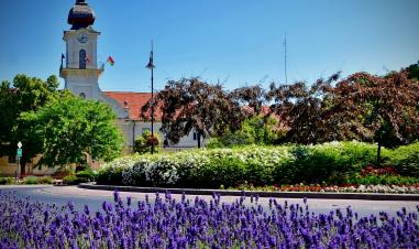 Május 20-ig lehet jelentkezni a Virágos Magyarország versenyre
